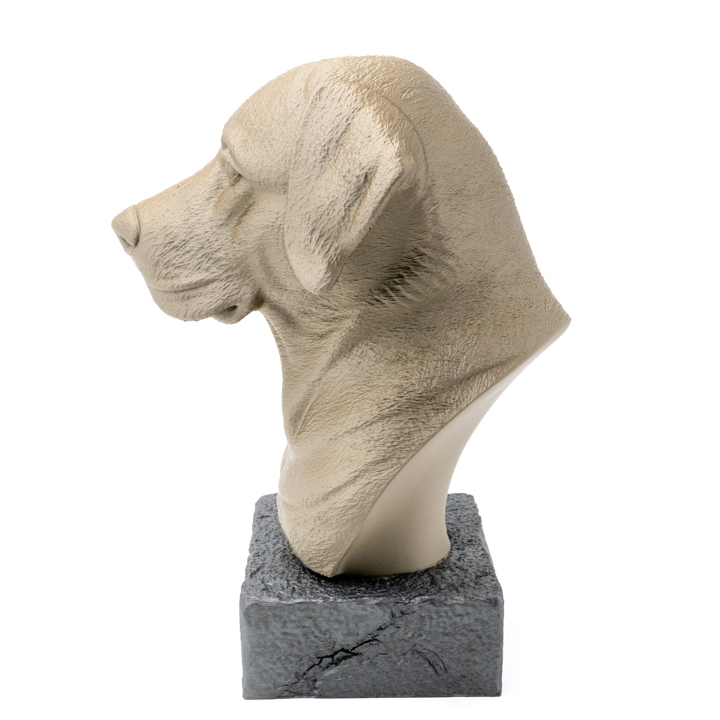 Edle Retriever-Büste – Ein stilvoller Blickfang für Hundefans